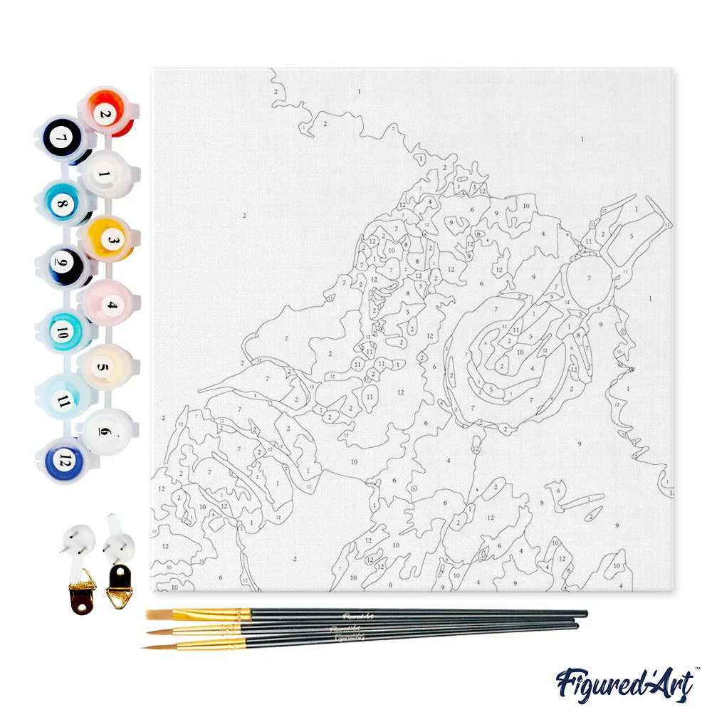 Mini Peinture par Numéros 20x20cm avec cadre Singe casque audio Figured'art