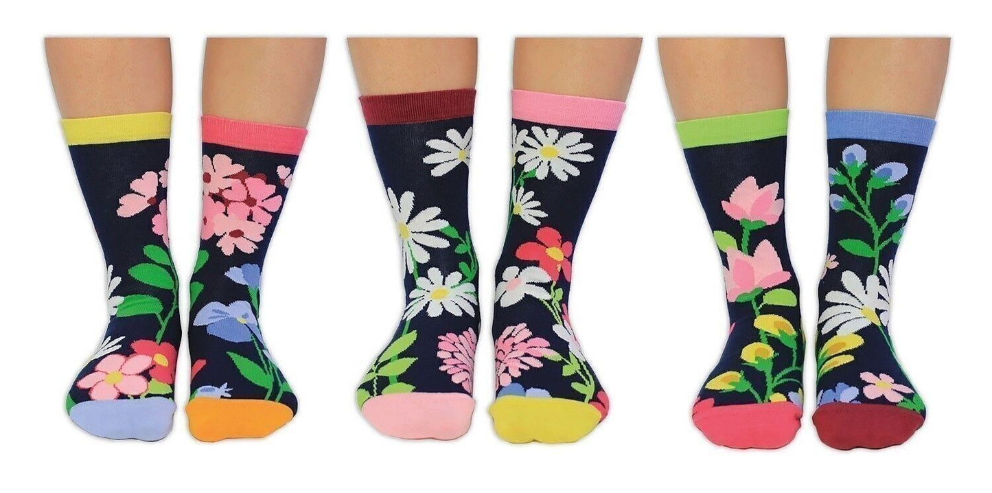 FLEUR INCROYABLE | Coffret cadeau adulte 6 chaussettes impaires - United Oddsocks EUR 37-42 United Oddsocks