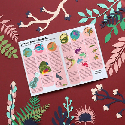 Coffret fabrication caméléon en papier mâché pour enfant +1 livre - Kit bricolage l'atelier imaginaire