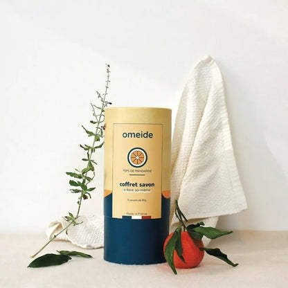 COFFRET SAVON DIY MANDARINE GRAINE CREATIVE
