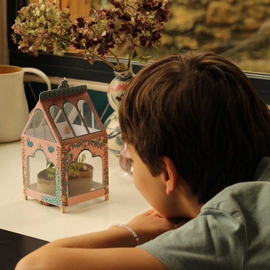 Bauen Sie Ihr eigenes Pflanzengewächshaus – Französisch/Englisches DIY-/Kinder-Aktivitätsset