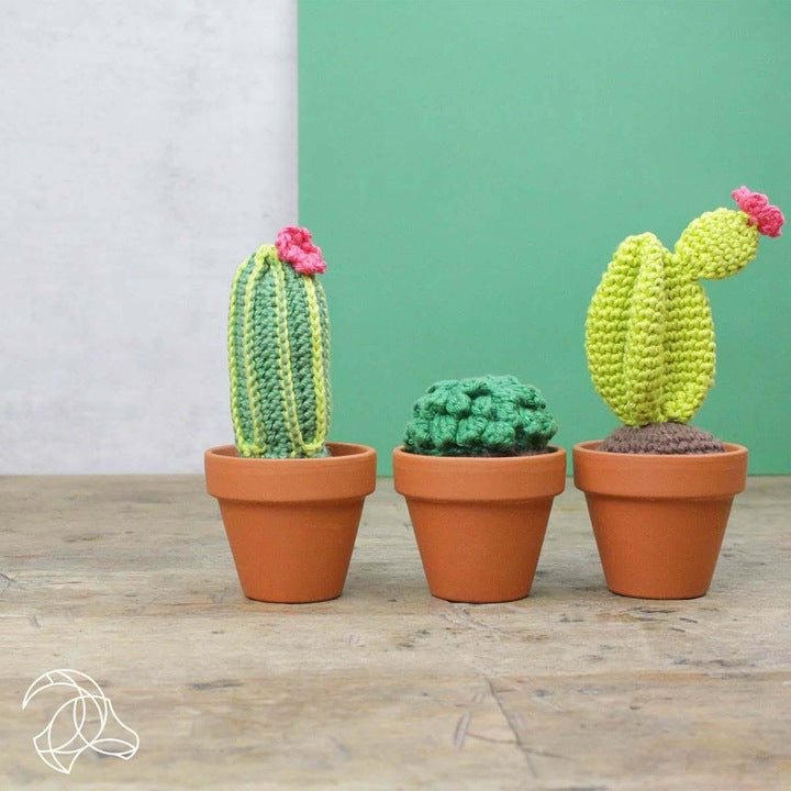 Amigurumi Cactus - Kit de crochet-JOY - Concept Store 