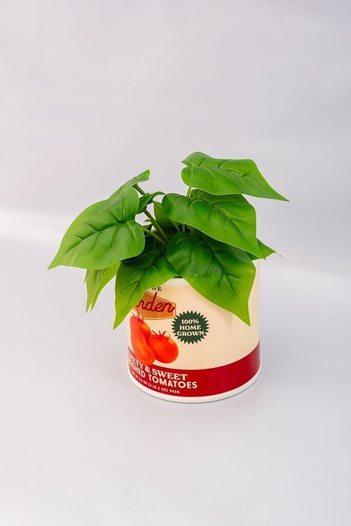 Vase en Céramique Ban.do – Boîte de Tomates Vintage Ban.do