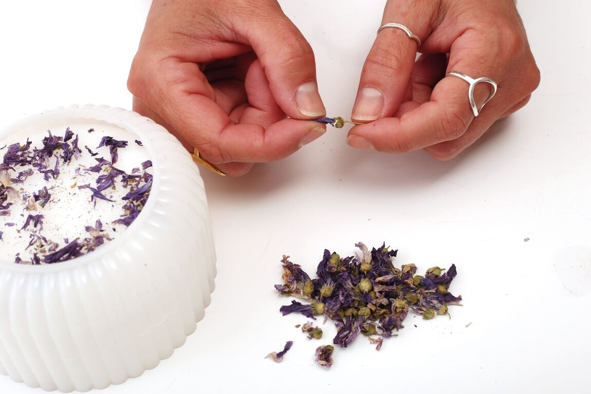Kit DIY Bougie Éternelle – Graine Créative