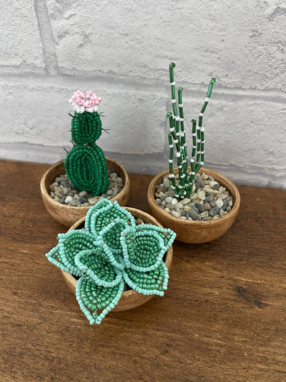 Kit de bricolage Cactus Cadeau créatif The Beadology Shop