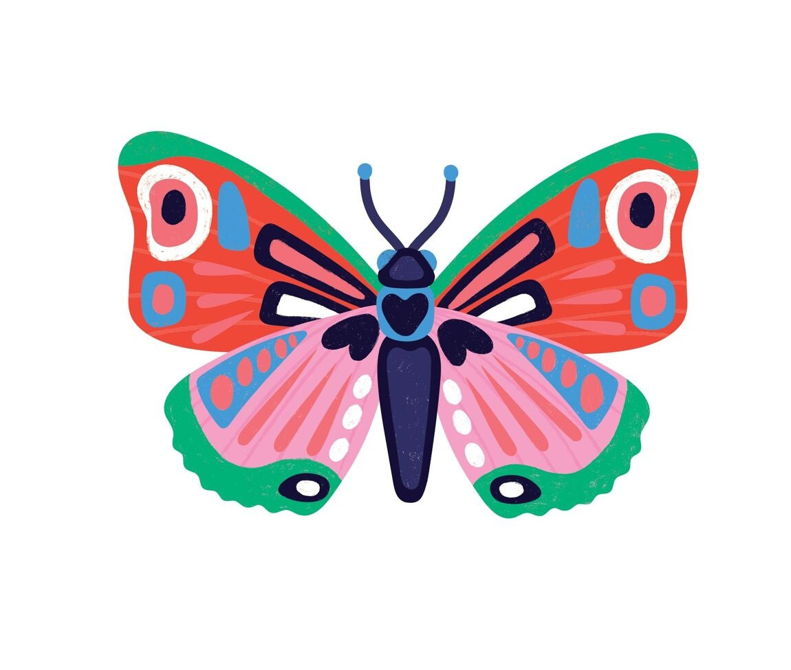 INSECTS LOVER – Kit créatif insectes 3D à assembler dès 7 ans | OMY x Gallimard les Ateliers OMY & Gallimard Jeunesse