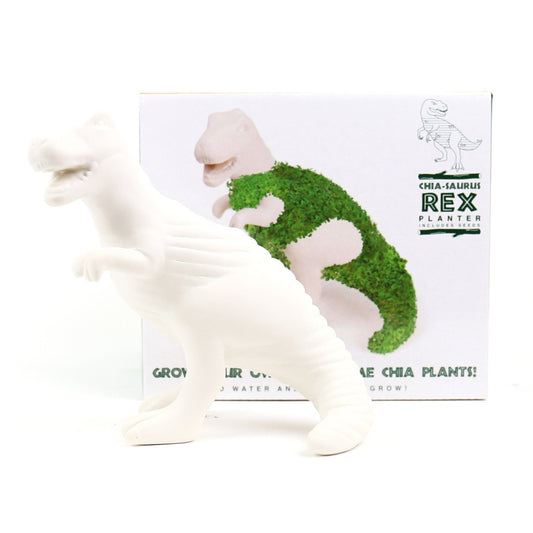 T-Rex en céramique avec graines de chia | Chia Saurus Rex – Déco & jardinage ludique GiftRepublic