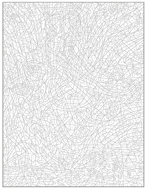 Coloriages Mystères Animaux – Livre Art-Thérapie Adulte Marabout Editions Marabout