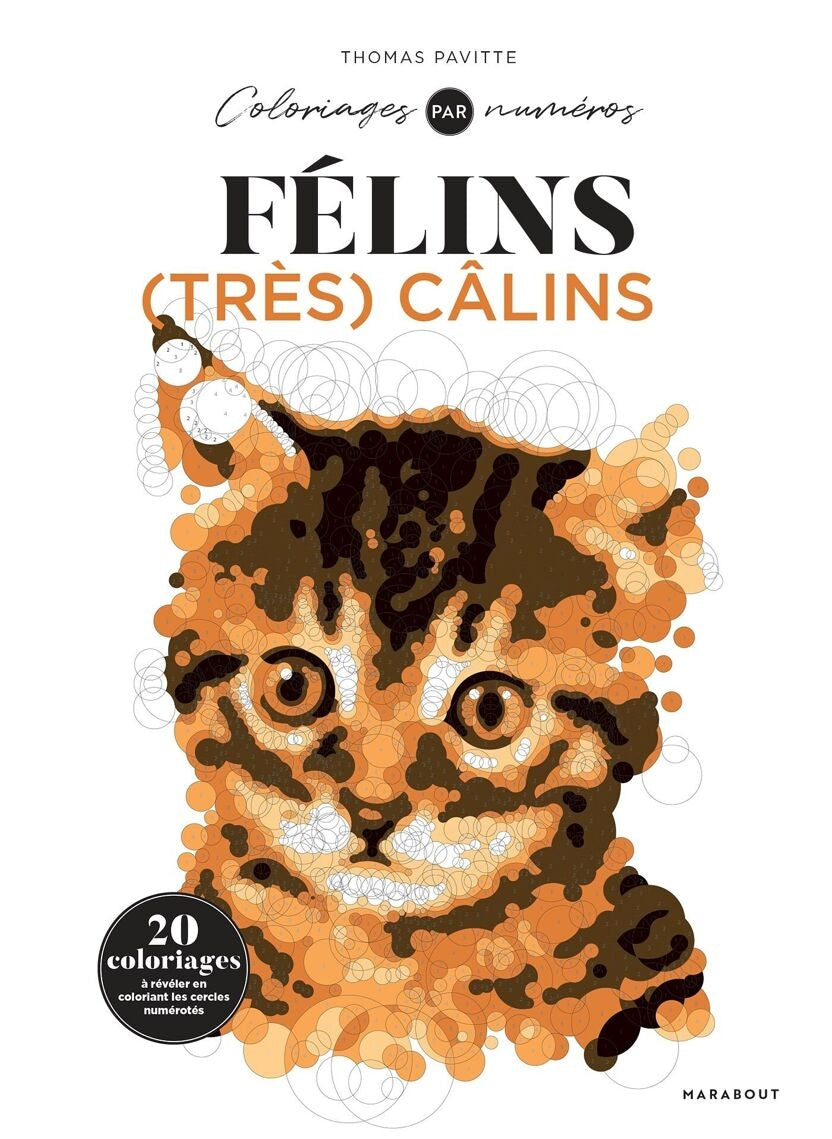 Coloriage Mystère Félins Très Câlins – Livre Art-Thérapie Adulte Marabout Editions Marabout