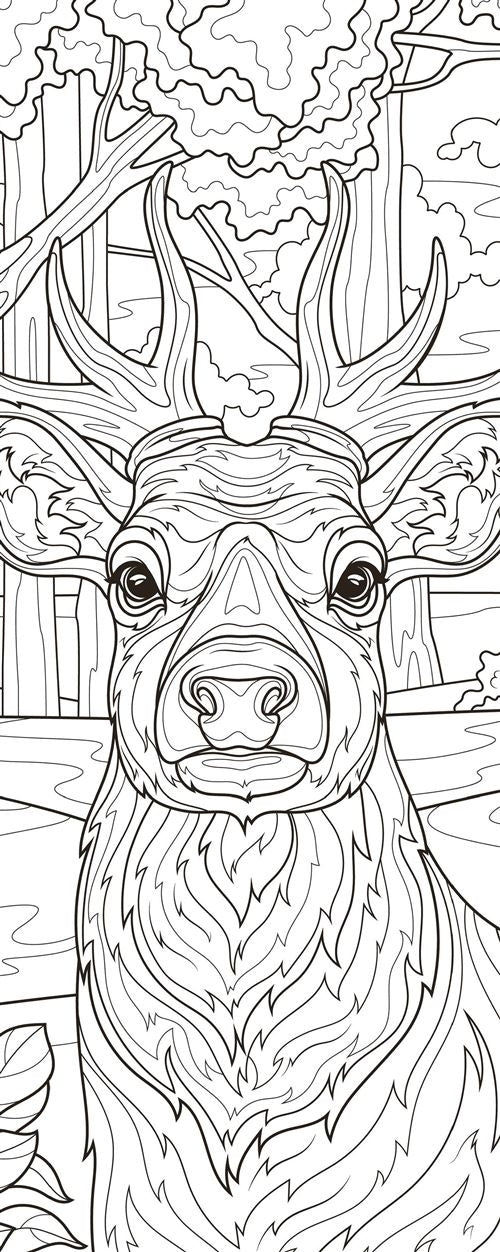 Mes marque-pages à colorier Balade en forêt – Kit créatif avec crayons inclus Editions Marabout