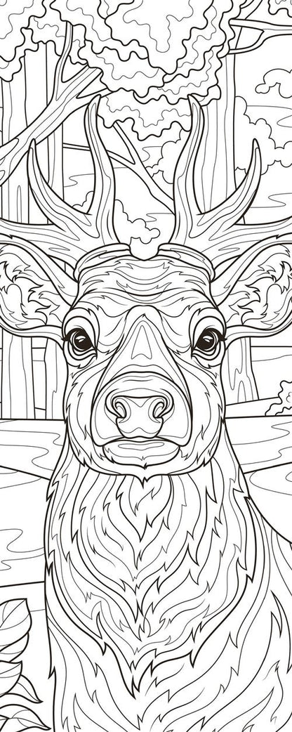 Mes marque-pages à colorier Balade en forêt – Kit créatif avec crayons inclus Editions Marabout