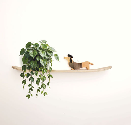 Skate à Décorer – Planche Créative DIY pour Déco Murale Originale GRAINE CREATIVE