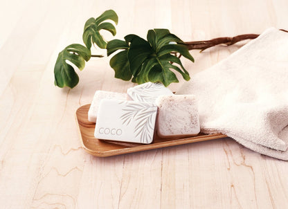 Kit DIY 4 savons exfoliants noix de coco – Savons naturels à fabriquer soi-même Graine Créative GRAINE CREATIVE