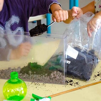 Vivarium Racines & Lombrics x2 – Kit Observation Nature Enfant | Activité Scientifique LA PETITE EPICERIE