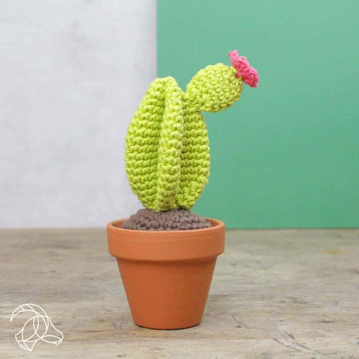 Amigurumi Cactus - Kit de crochet-JOY - Concept Store 