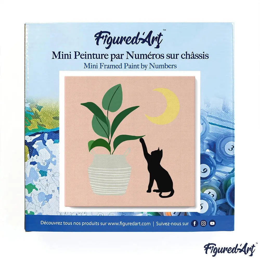 Mini Peinture par Numéros avec cadre Chaton et Plante Figured'art
