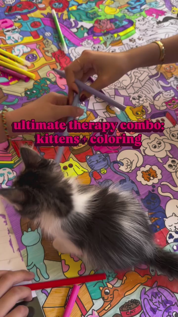 Vidéo du poster géant à colorier Kitty Kawaii OMY, chats kawaii à colorier, format 70 × 100 cm pour enfants