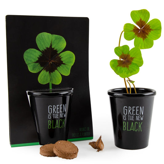 Kit de plantation black - Trèfle 4 feuilles Radis et Capucine Radis et Capucine