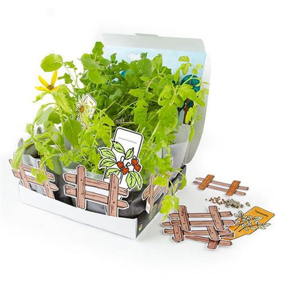 Coffret Mini Potager – Radis et Capucine 🌱 Kit de jardinage pour enfants Radis et Capucine