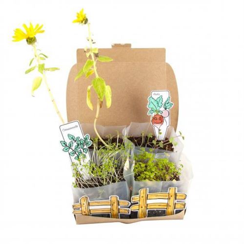 Coffret Mini Potager – Radis et Capucine 🌱 Kit de jardinage pour enfants Radis et Capucine